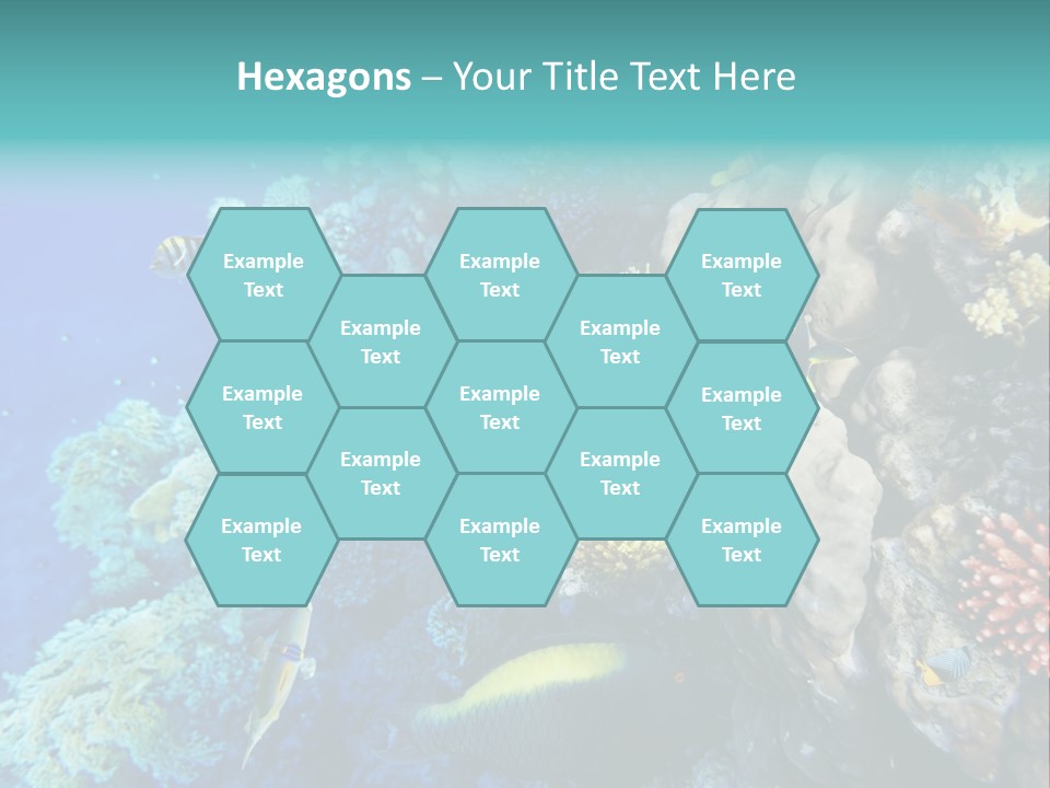 Alive Aquarium Underwater PowerPoint Template