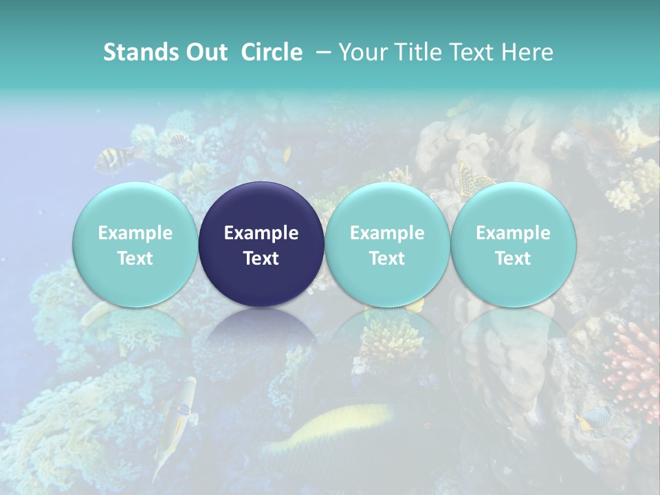 Alive Aquarium Underwater PowerPoint Template