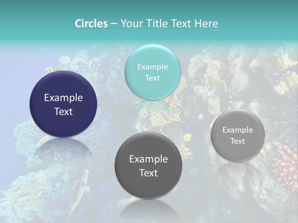 Alive Aquarium Underwater PowerPoint Template