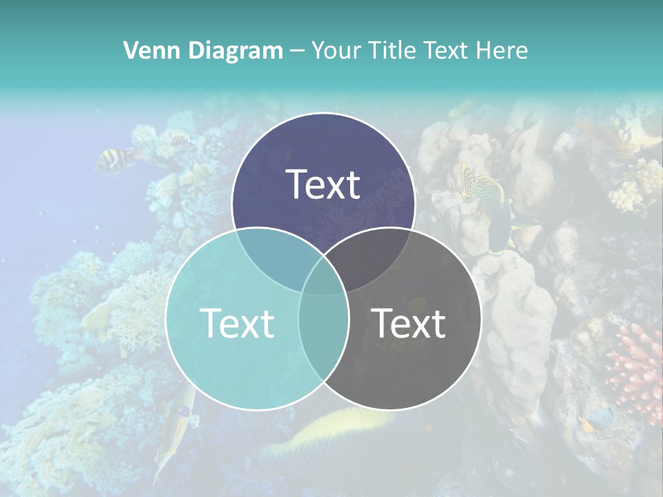 Alive Aquarium Underwater PowerPoint Template