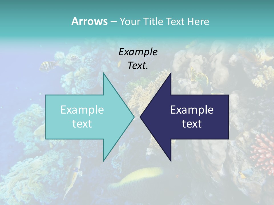 Alive Aquarium Underwater PowerPoint Template