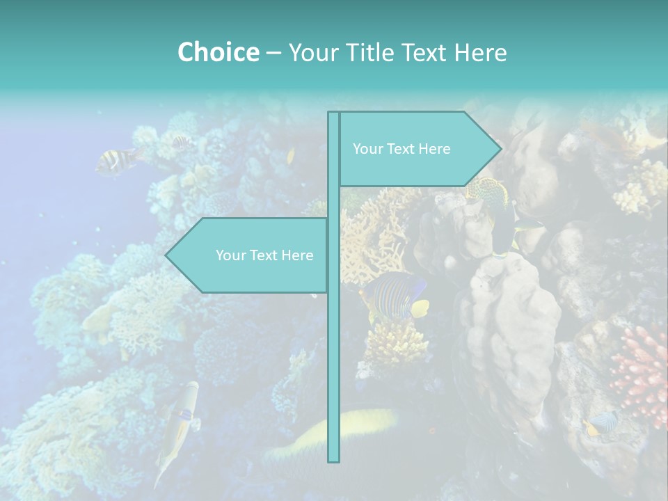 Alive Aquarium Underwater PowerPoint Template