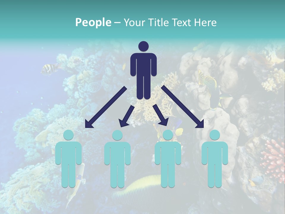 Alive Aquarium Underwater PowerPoint Template