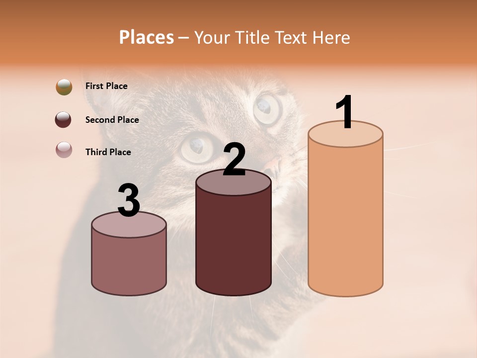 Eyes European Hat PowerPoint Template