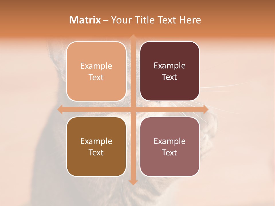 Eyes European Hat PowerPoint Template