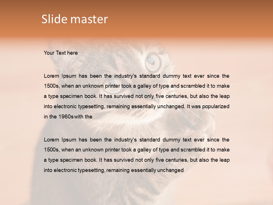 Eyes European Hat PowerPoint Template