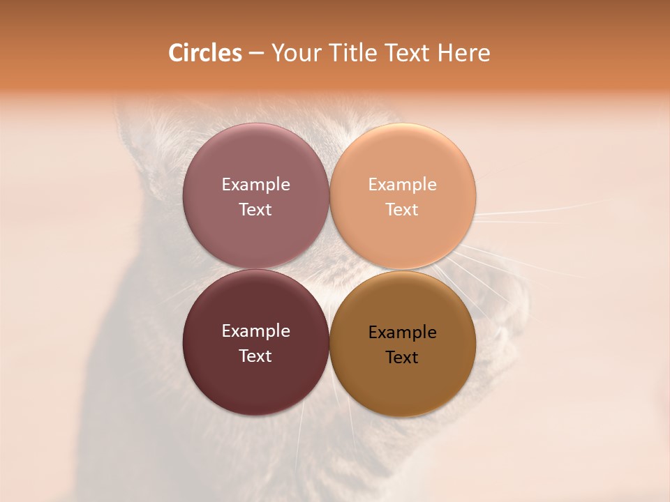 Eyes European Hat PowerPoint Template