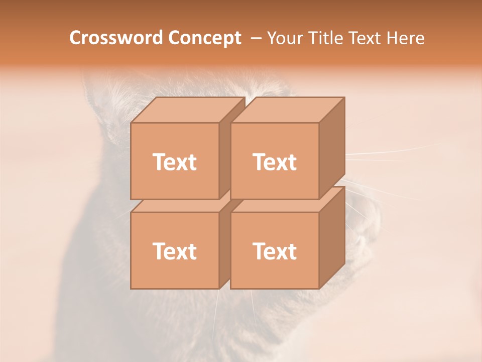 Eyes European Hat PowerPoint Template