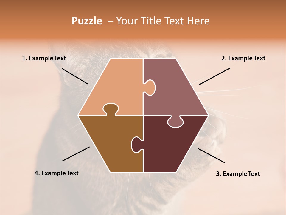 Eyes European Hat PowerPoint Template