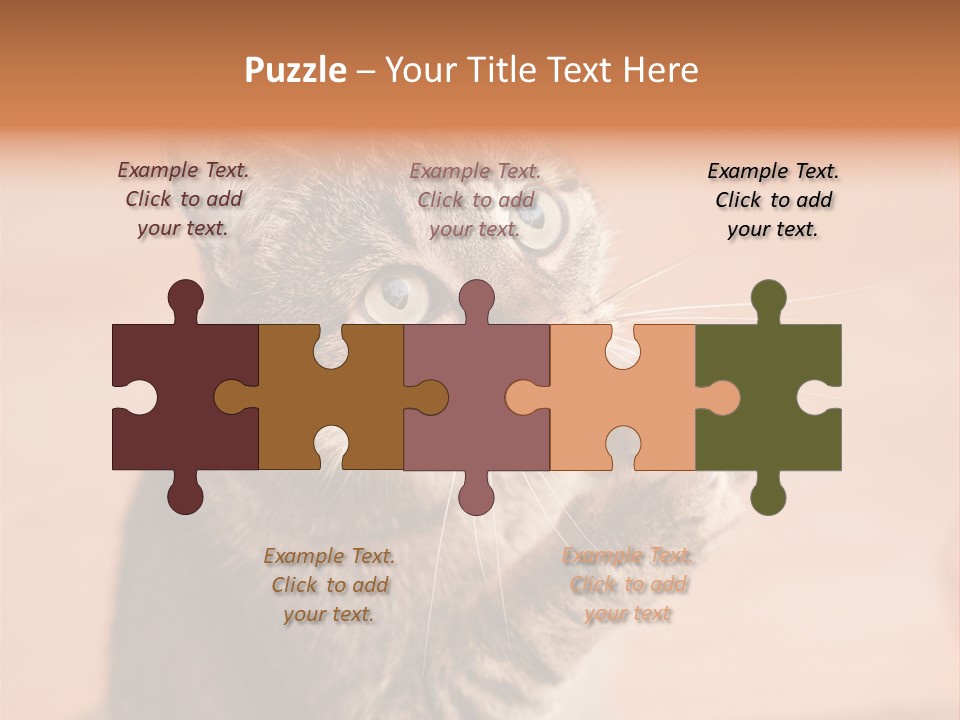 Eyes European Hat PowerPoint Template