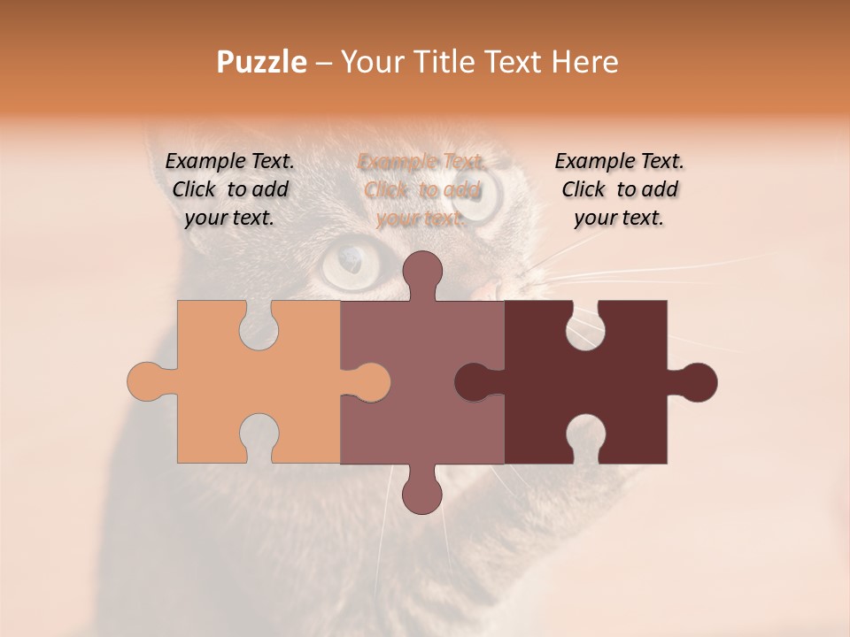 Eyes European Hat PowerPoint Template