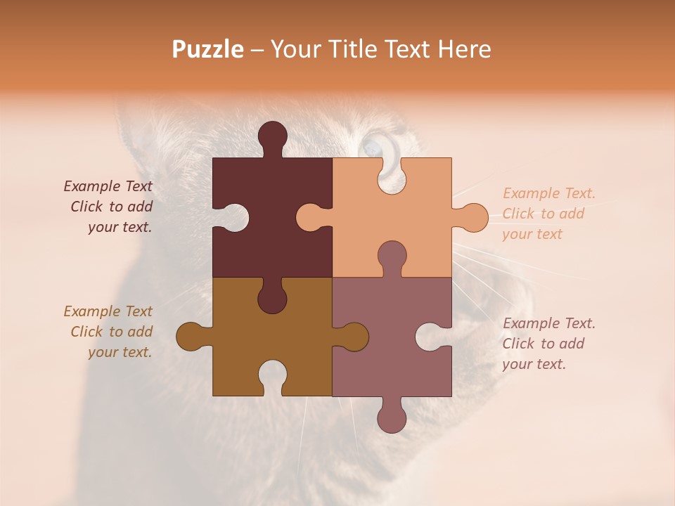 Eyes European Hat PowerPoint Template