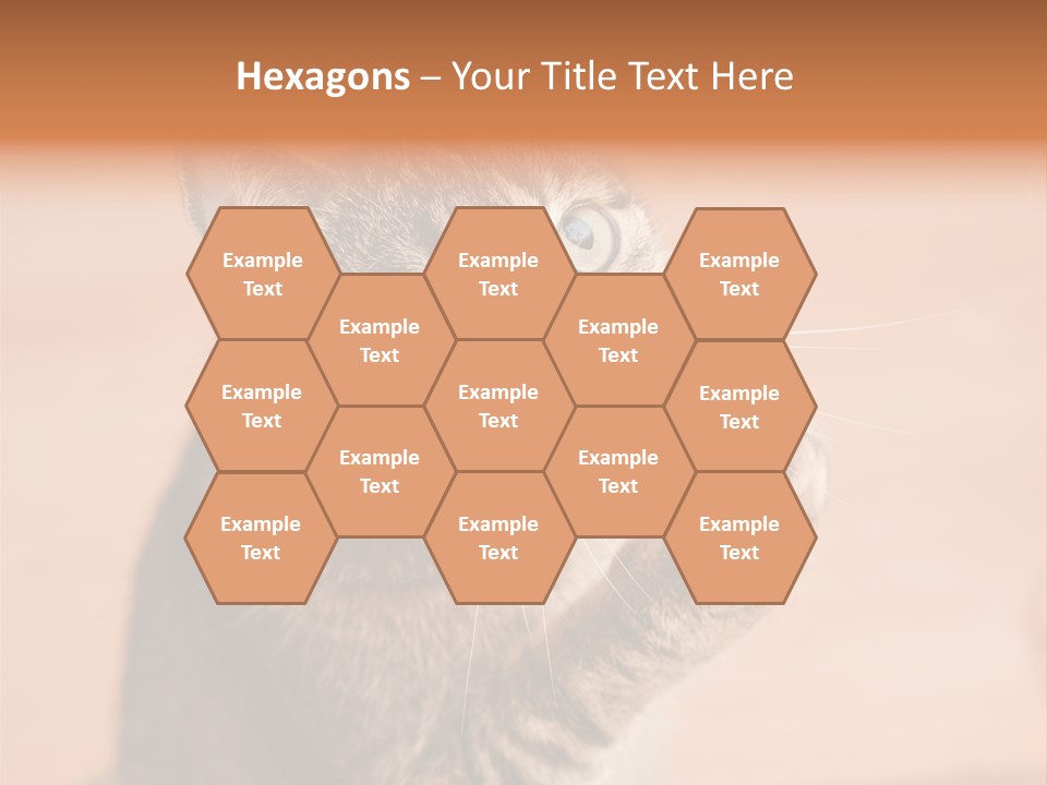 Eyes European Hat PowerPoint Template