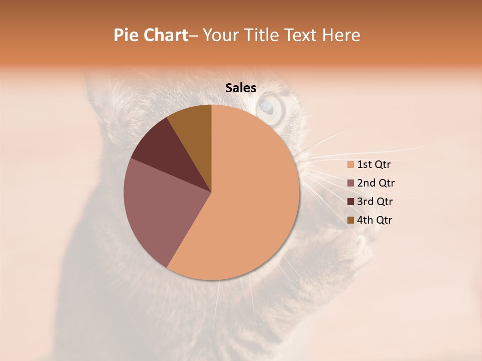 Eyes European Hat PowerPoint Template