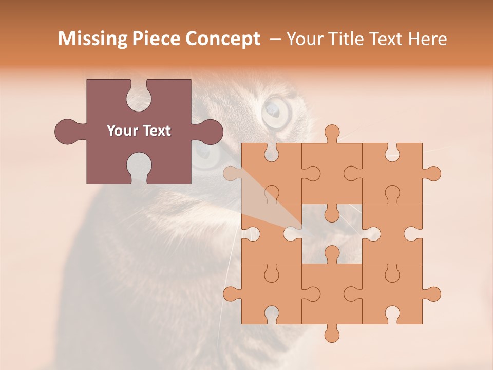 Eyes European Hat PowerPoint Template