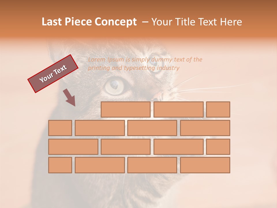 Eyes European Hat PowerPoint Template