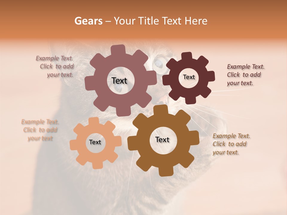 Eyes European Hat PowerPoint Template