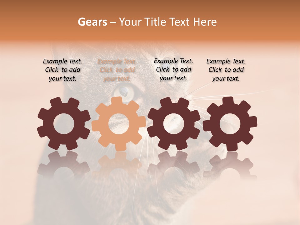 Eyes European Hat PowerPoint Template