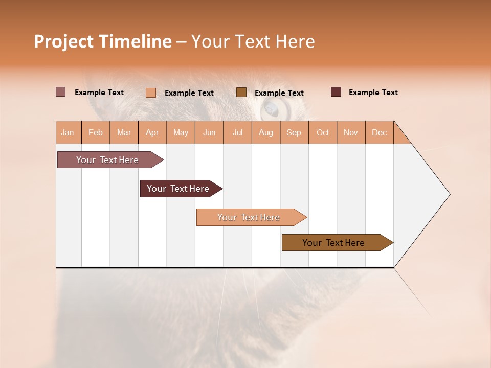 Eyes European Hat PowerPoint Template