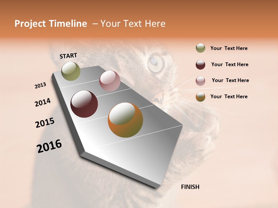 Eyes European Hat PowerPoint Template