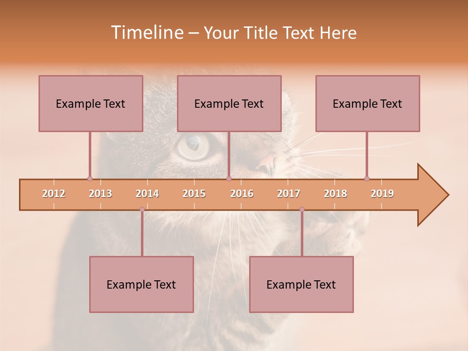 Eyes European Hat PowerPoint Template