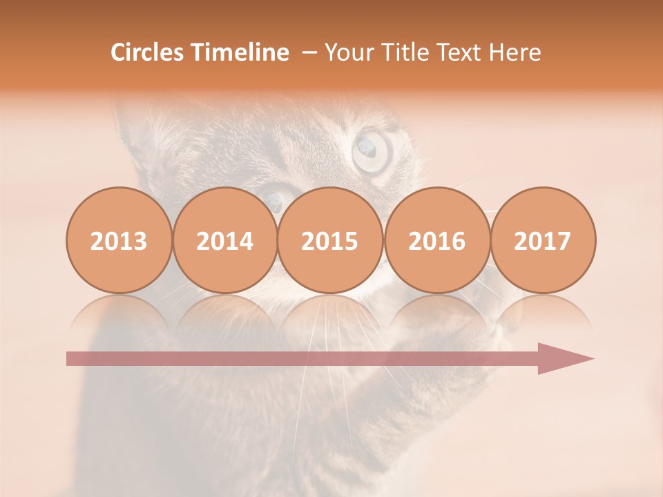 Eyes European Hat PowerPoint Template