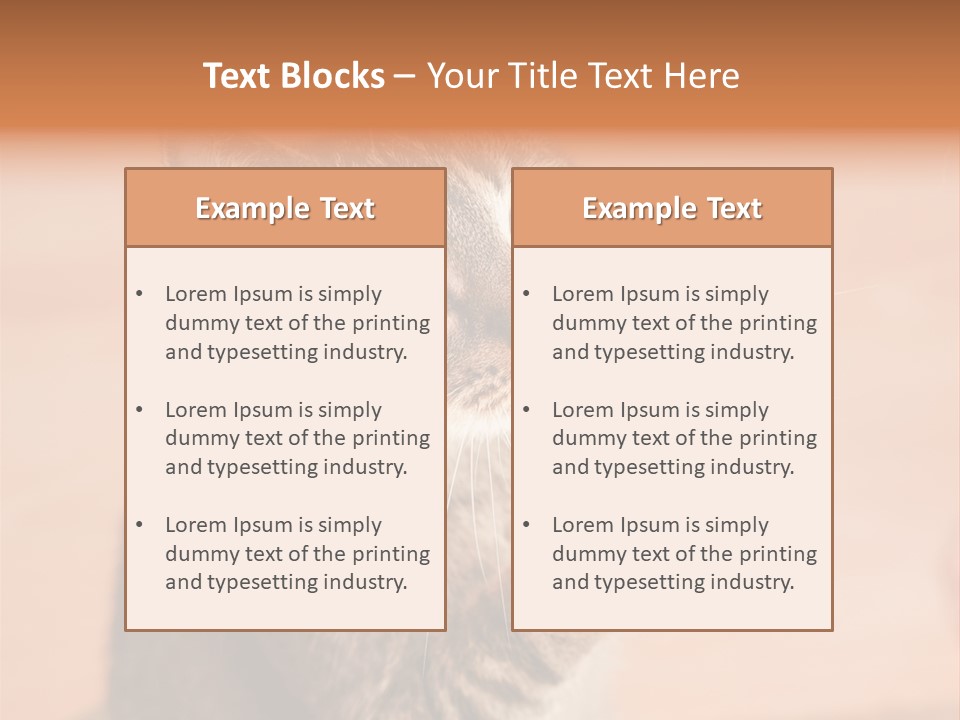 Eyes European Hat PowerPoint Template