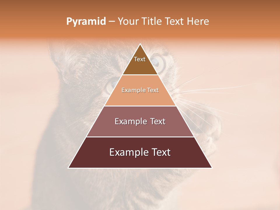 Eyes European Hat PowerPoint Template