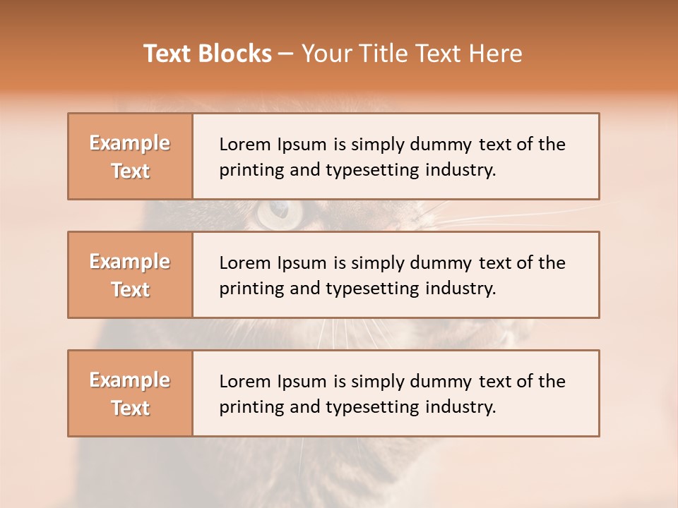 Eyes European Hat PowerPoint Template