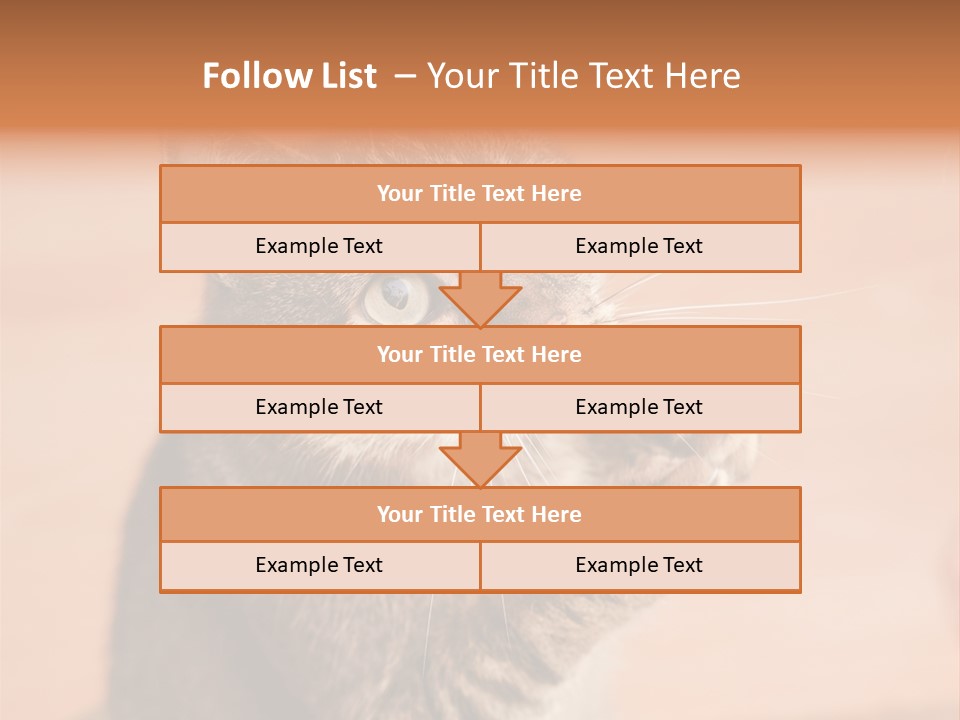 Eyes European Hat PowerPoint Template