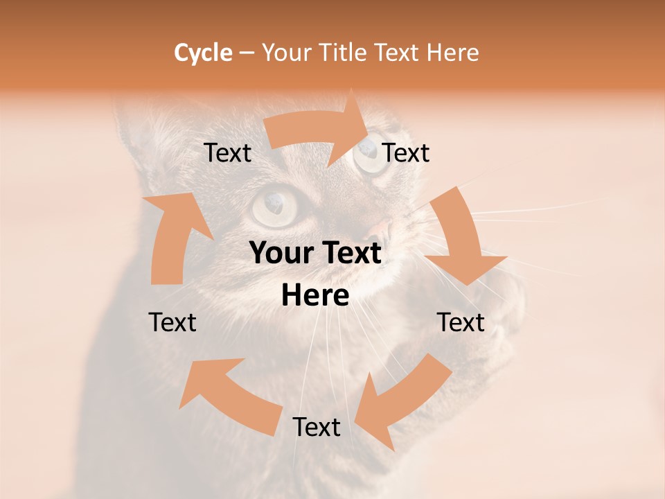 Eyes European Hat PowerPoint Template