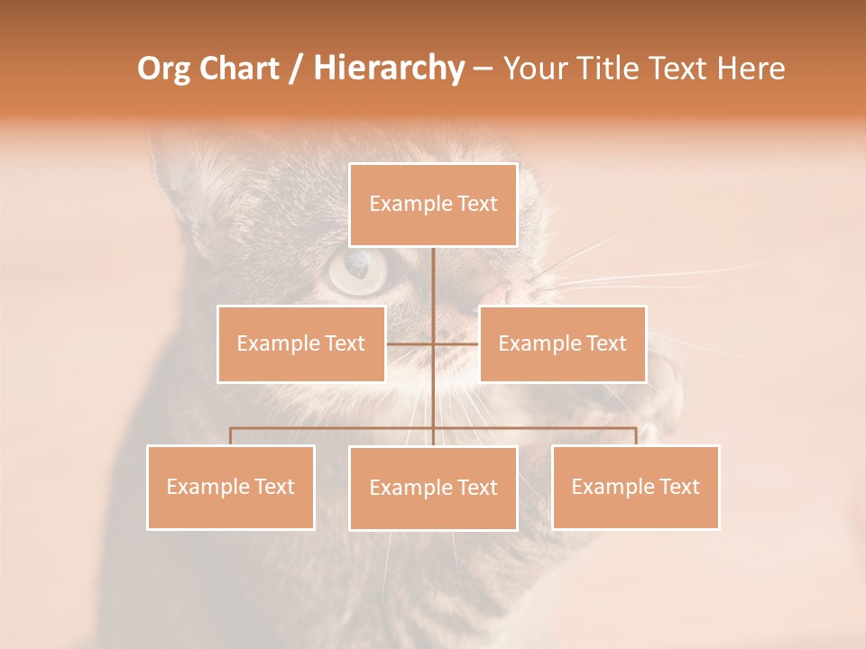 Eyes European Hat PowerPoint Template