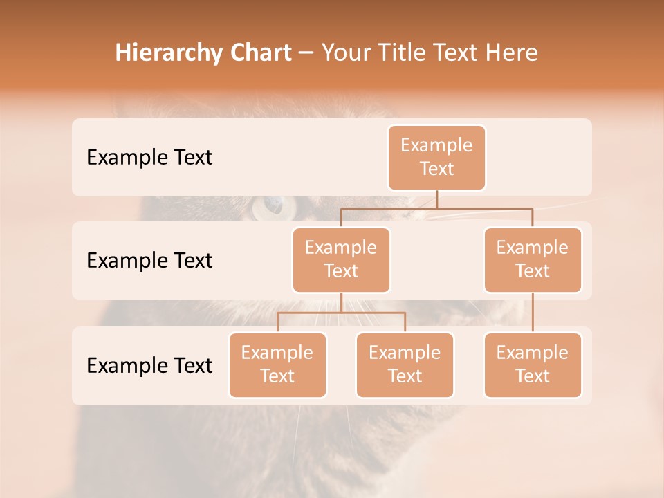 Eyes European Hat PowerPoint Template