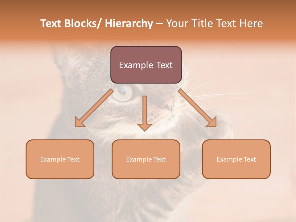 Eyes European Hat PowerPoint Template