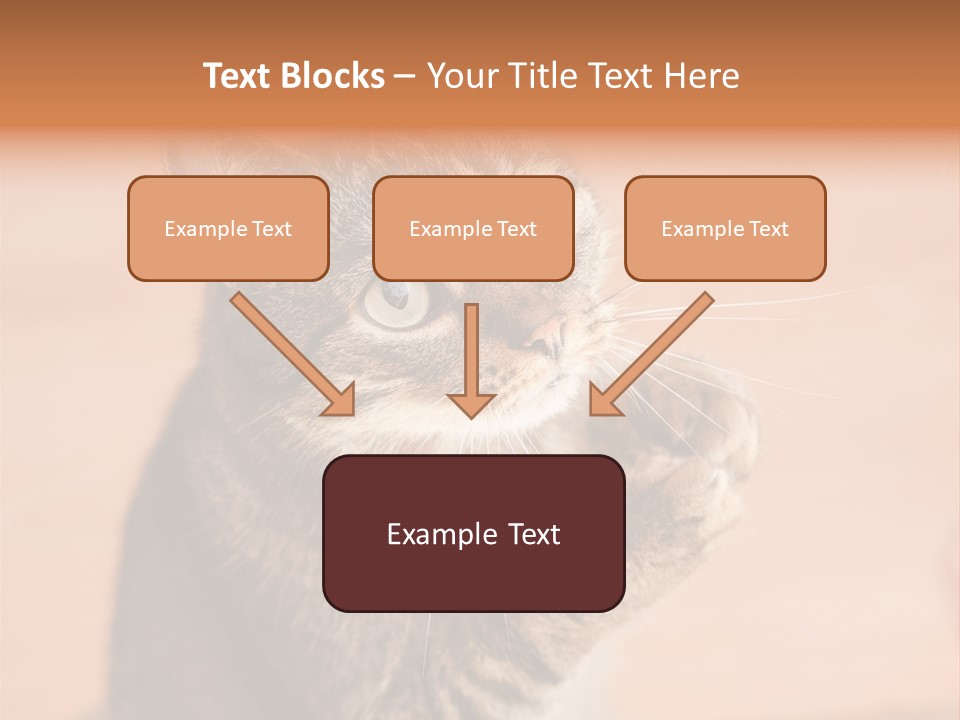 Eyes European Hat PowerPoint Template