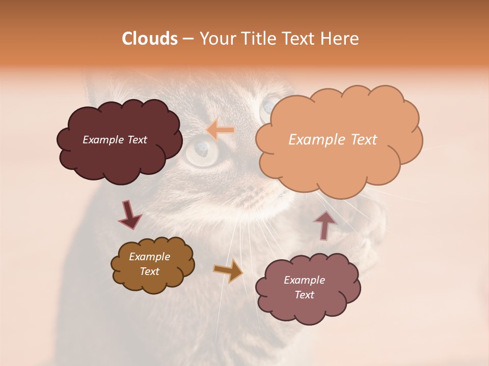Eyes European Hat PowerPoint Template