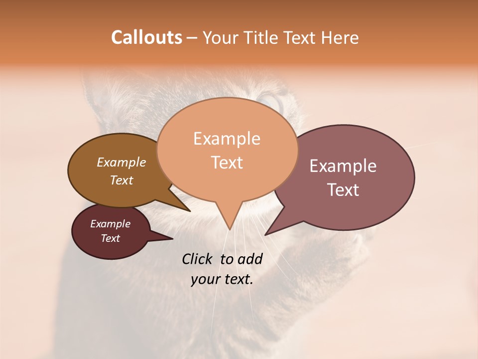 Eyes European Hat PowerPoint Template