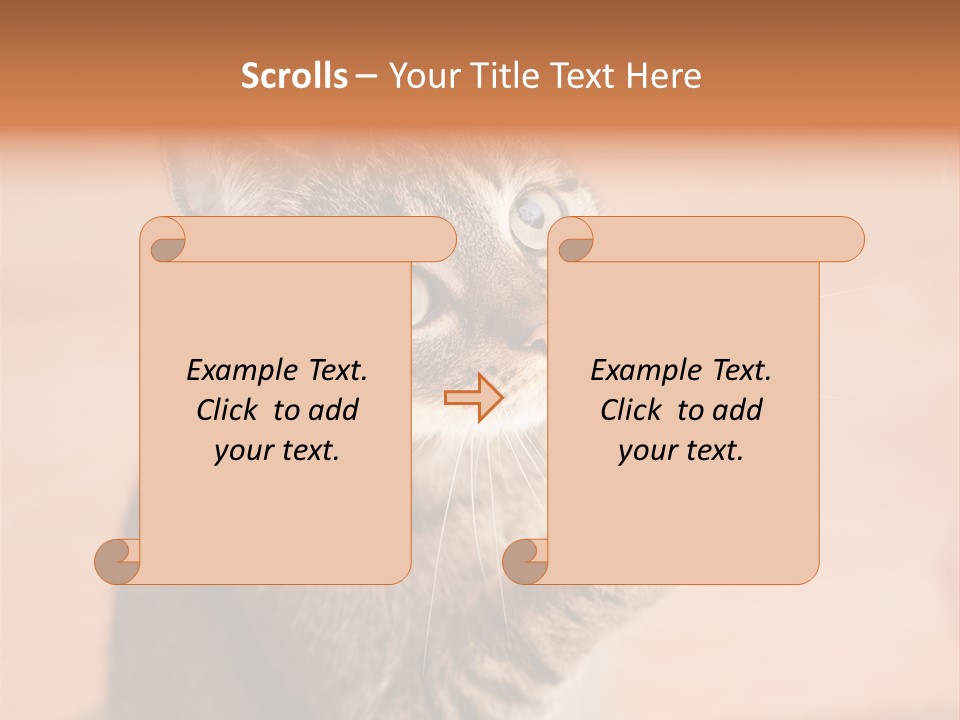 Eyes European Hat PowerPoint Template