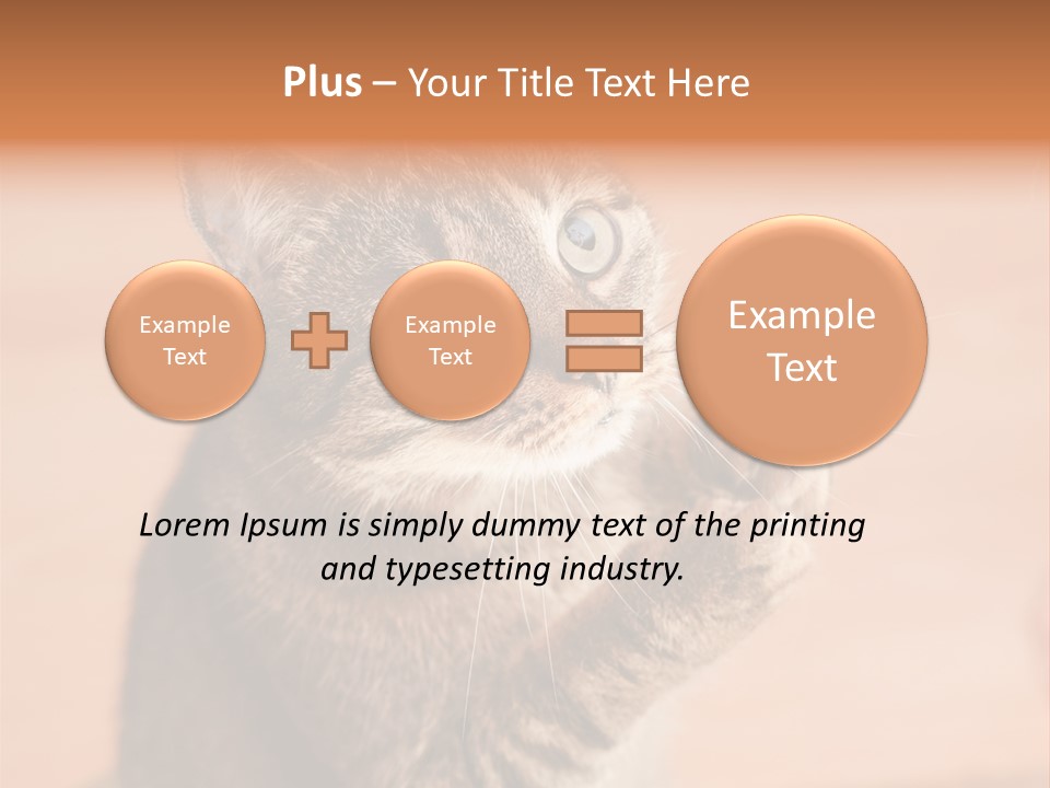 Eyes European Hat PowerPoint Template