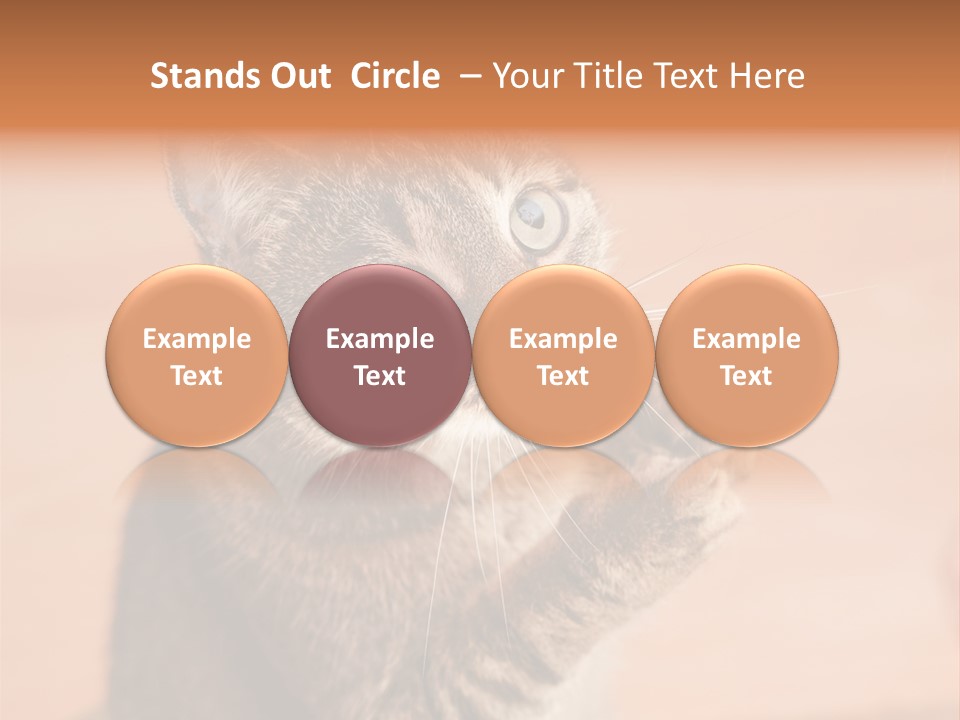 Eyes European Hat PowerPoint Template