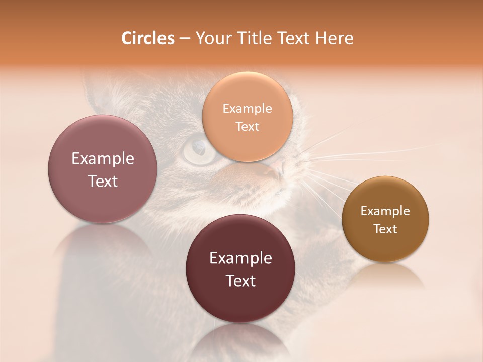 Eyes European Hat PowerPoint Template