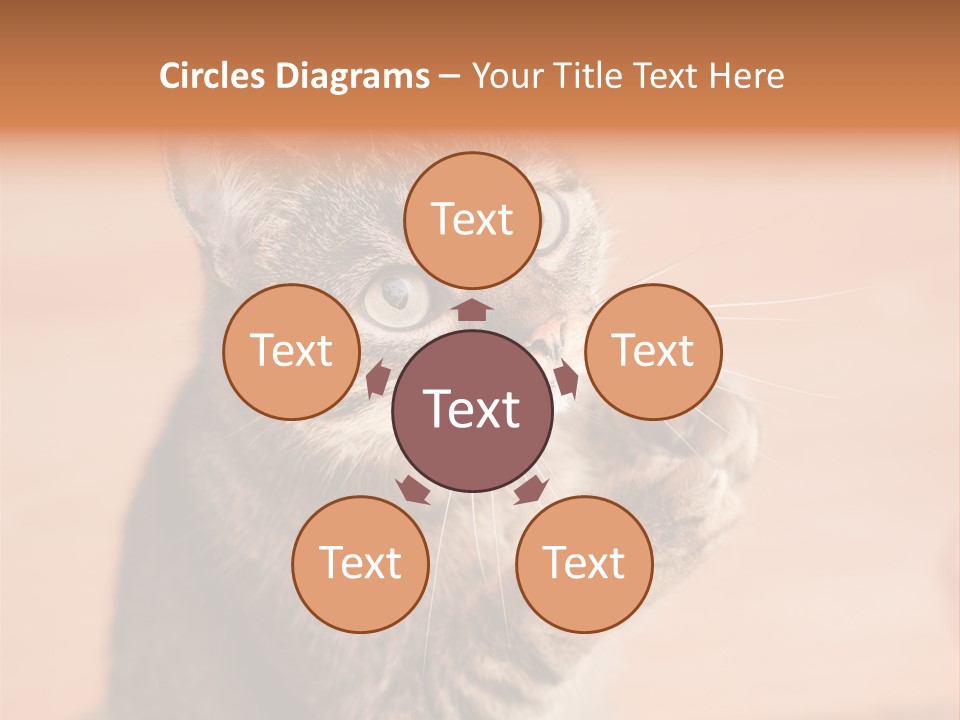 Eyes European Hat PowerPoint Template