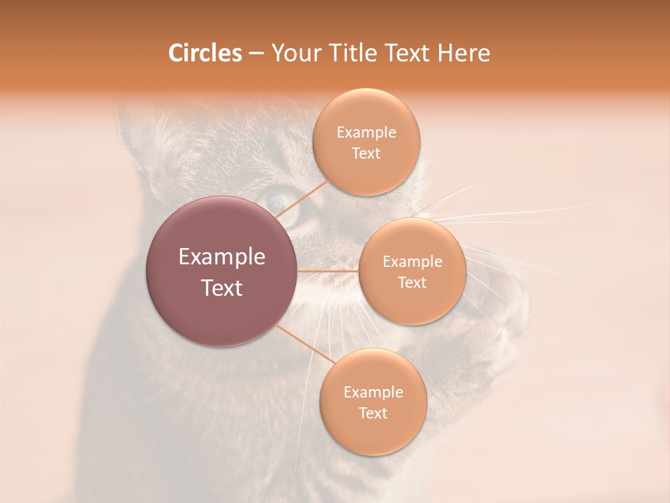 Eyes European Hat PowerPoint Template