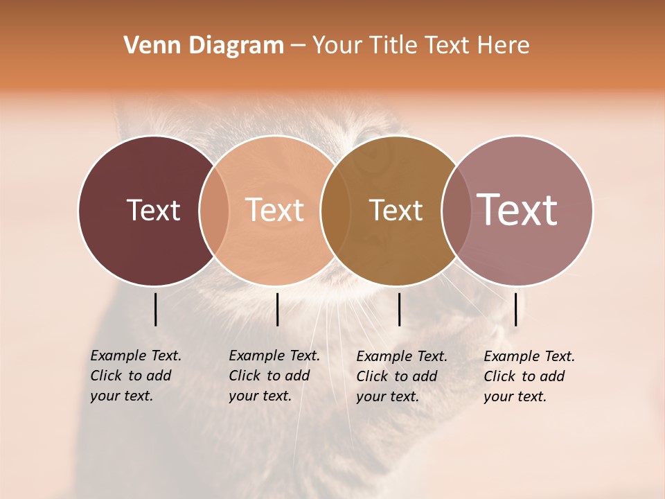 Eyes European Hat PowerPoint Template