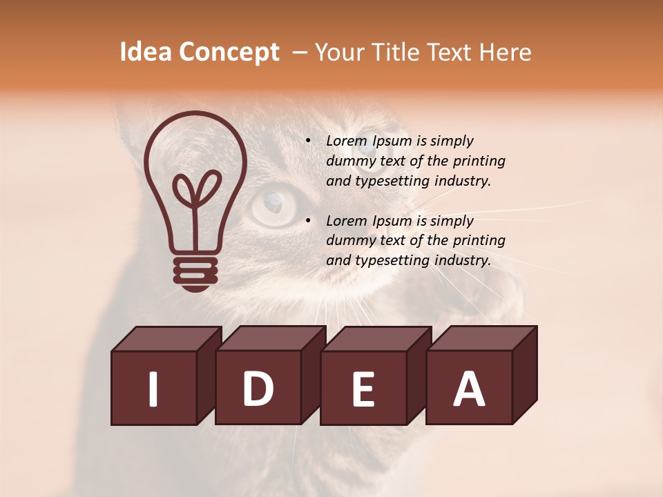 Eyes European Hat PowerPoint Template