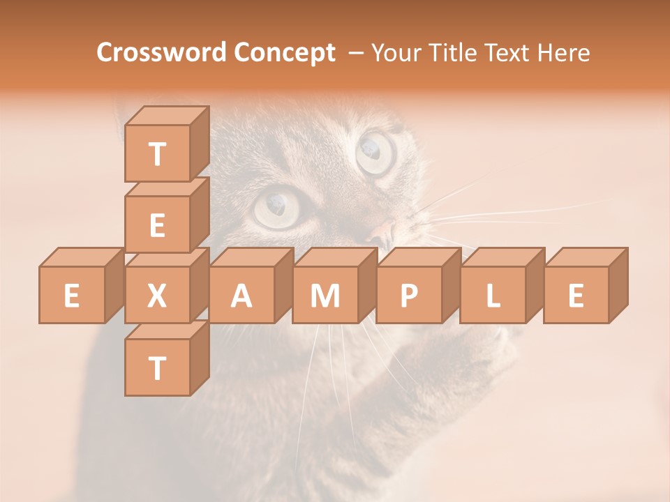 Eyes European Hat PowerPoint Template