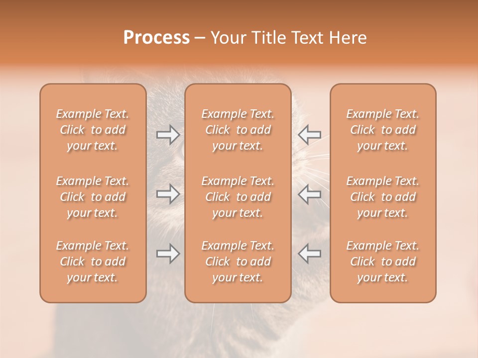Eyes European Hat PowerPoint Template