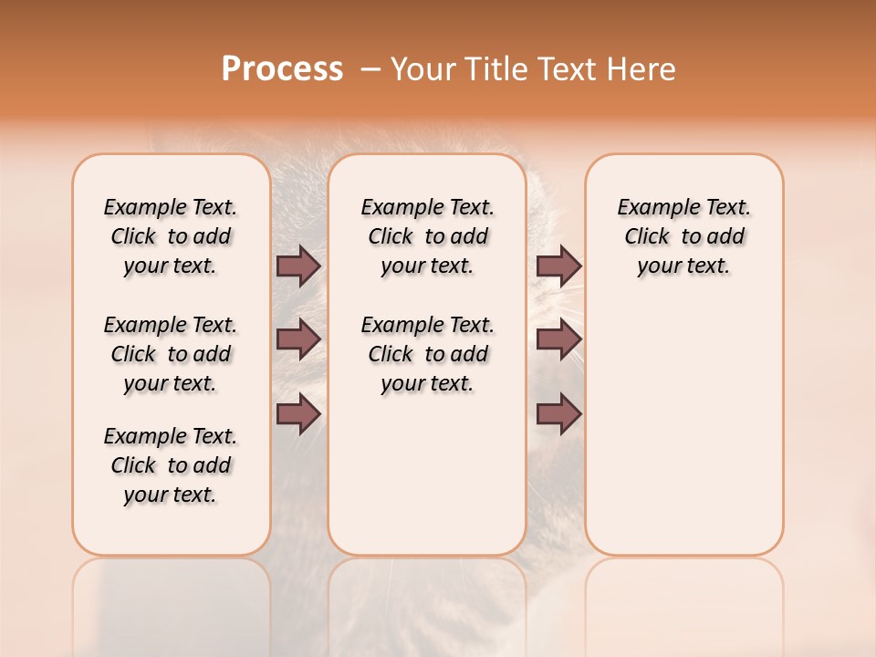 Eyes European Hat PowerPoint Template