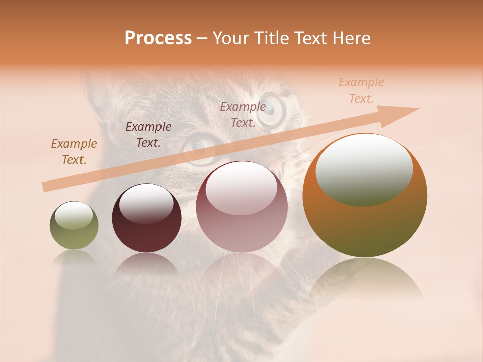 Eyes European Hat PowerPoint Template