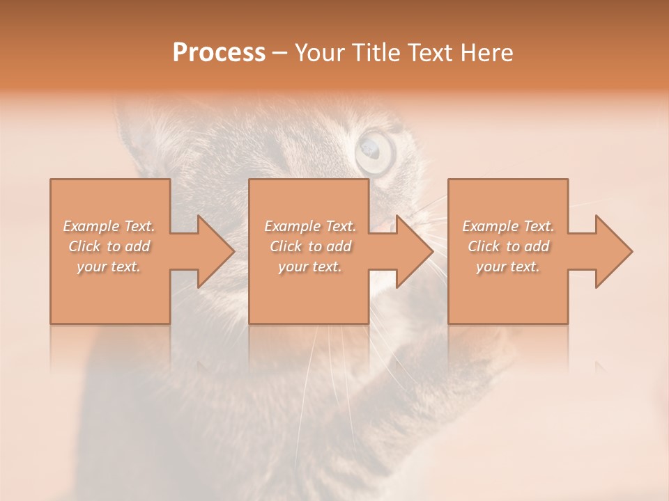 Eyes European Hat PowerPoint Template